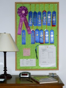 Awards for quilting